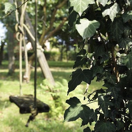 San Giorgio In Bosco Agriturismo Da Gas المظهر الخارجي الصورة