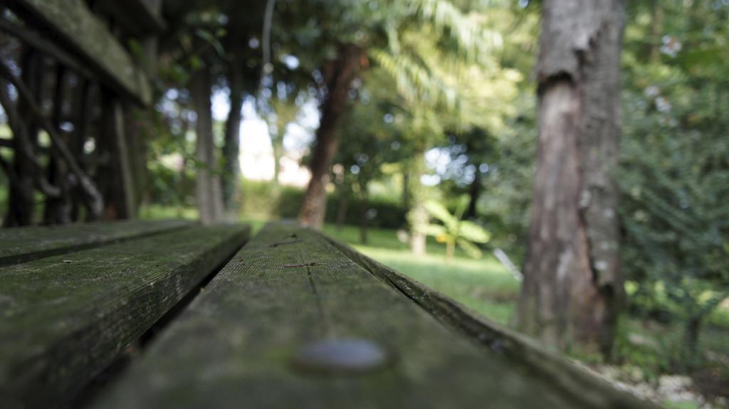 San Giorgio In Bosco Agriturismo Da Gas المظهر الخارجي الصورة