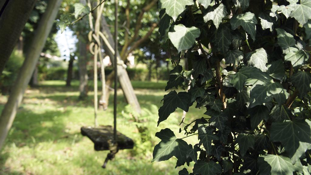 San Giorgio In Bosco Agriturismo Da Gas المظهر الخارجي الصورة